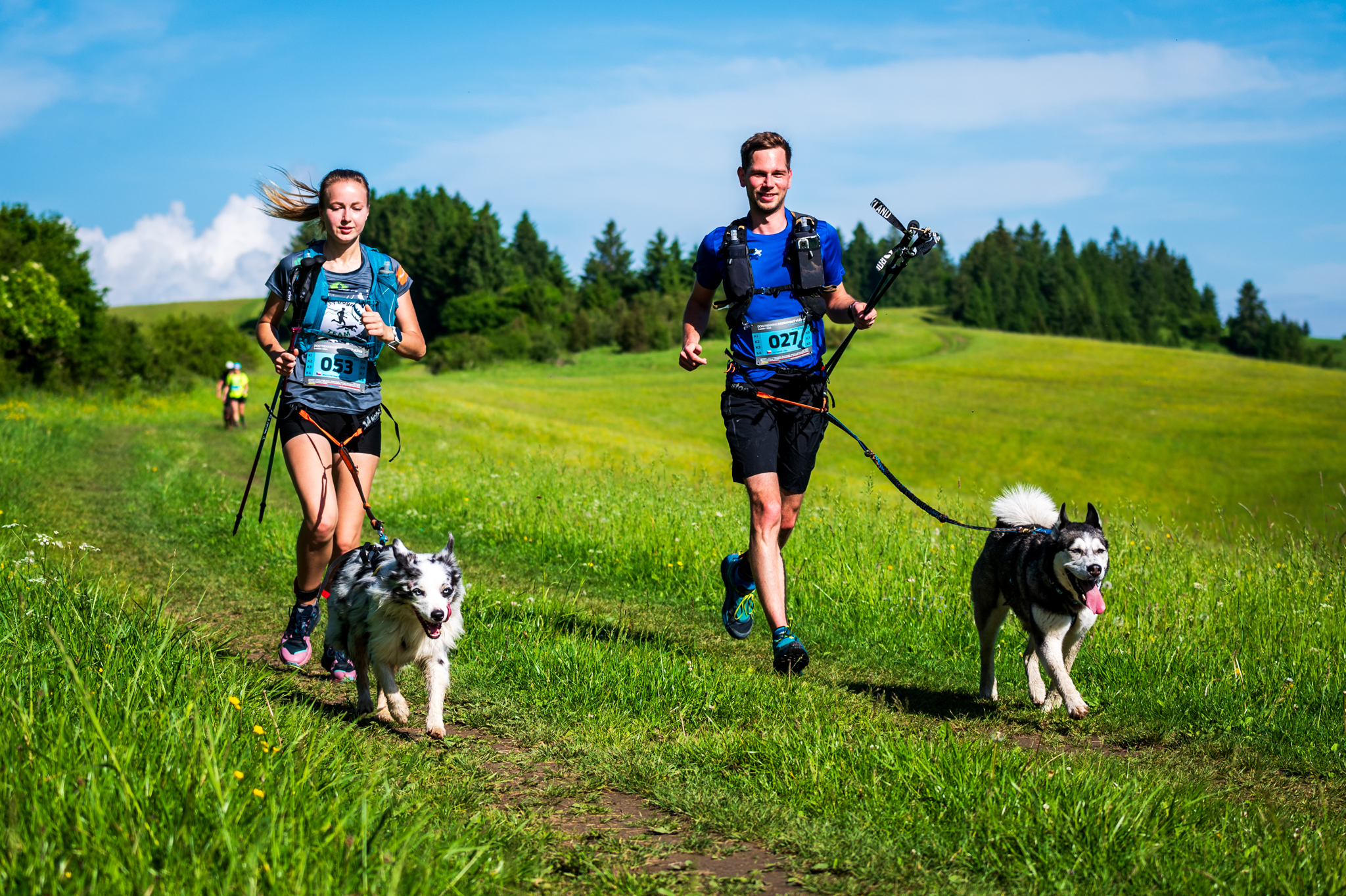 Fatranský vlčko 2024