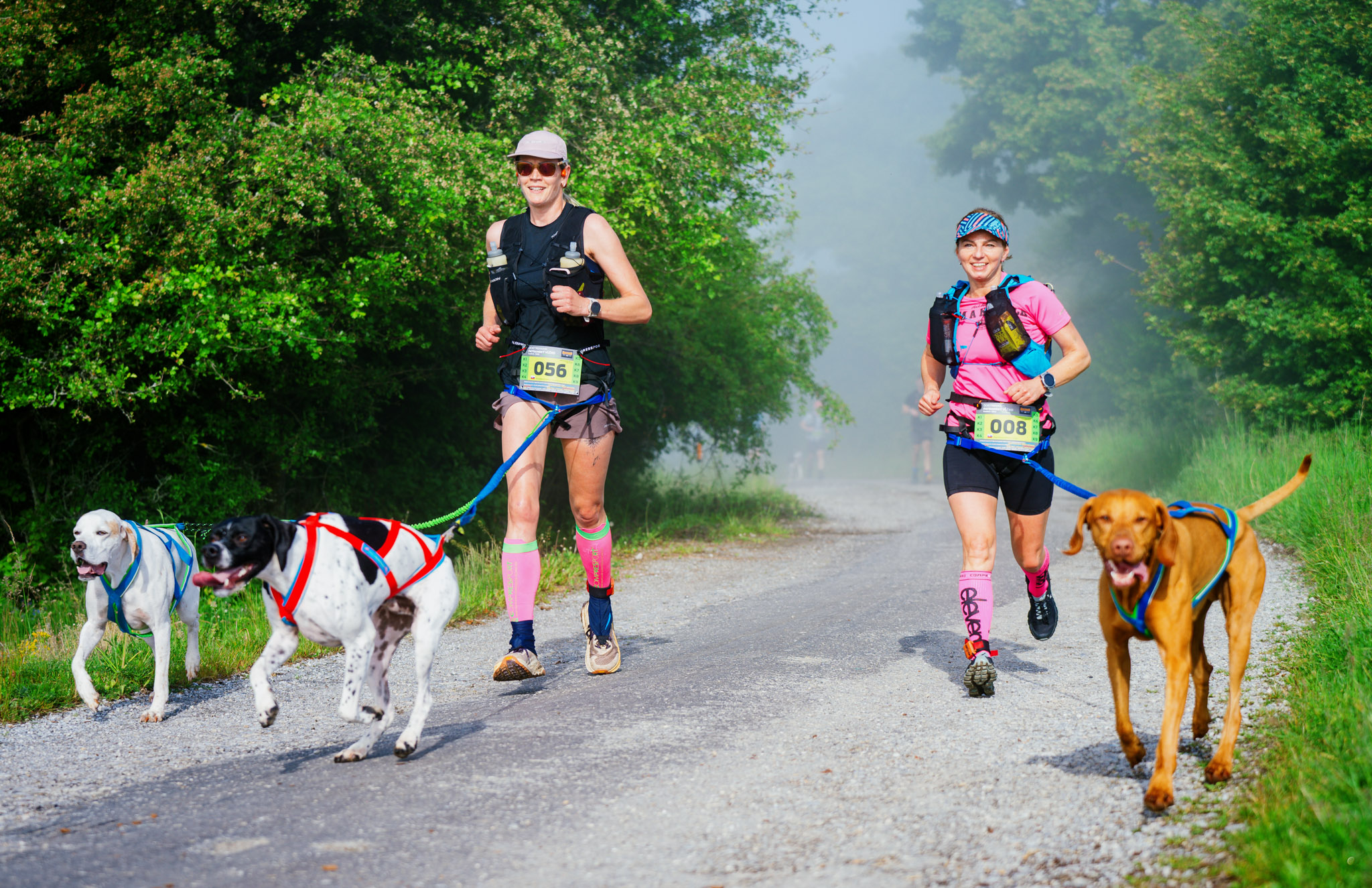 Fatranský Vĺčko 2025